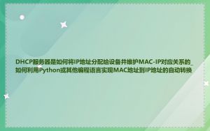 DHCP服务器是如何将IP地址分配给设备并维护MAC-IP对应关系的_如何利用Python或其他编程语言实现MAC地址到IP地址的自动转换