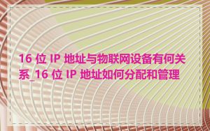 16 位 IP 地址与物联网设备有何关系_16 位 IP 地址如何分配和管理