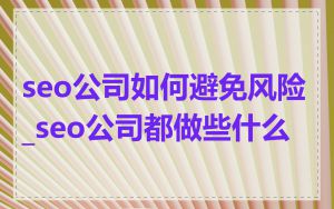 seo公司如何避免风险_seo公司都做些什么