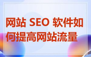 网站 SEO 软件如何提高网站流量