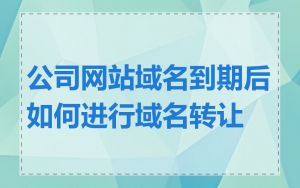 公司网站域名到期后如何进行域名转让