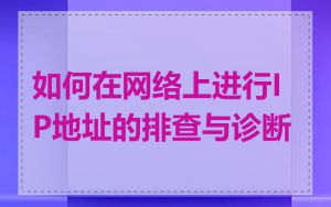 如何在网络上进行IP地址的排查与诊断