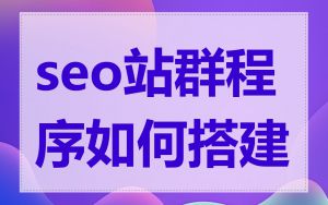 seo站群程序如何搭建