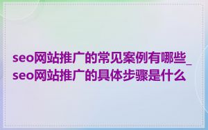 seo网站推广的常见案例有哪些_seo网站推广的具体步骤是什么