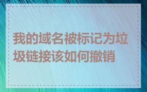 我的域名被标记为垃圾链接该如何撤销