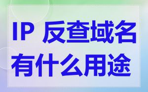 IP 反查域名有什么用途