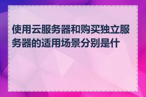 使用云服务器和购买独立服务器的适用场景分别是什么