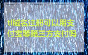 tl域名注册可以用支付宝等第三方支付吗