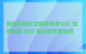 如何利用社交媒体来做SEO_如何判断 SEO 优化的效果如何