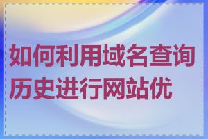 如何利用域名查询历史进行网站优化