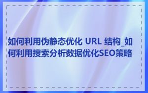 如何利用伪静态优化 URL 结构_如何利用搜索分析数据优化SEO策略