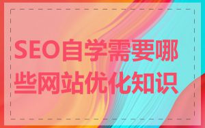 SEO自学需要哪些网站优化知识