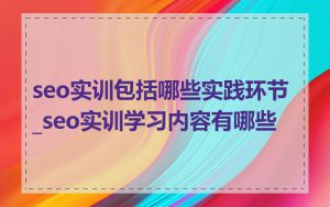 seo实训包括哪些实践环节_seo实训学习内容有哪些