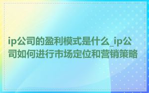 ip公司的盈利模式是什么_ip公司如何进行市场定位和营销策略