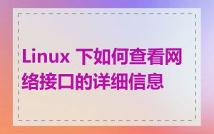 Linux 下如何查看网络接口的详细信息