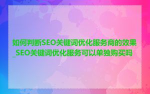 如何判断SEO关键词优化服务商的效果_SEO关键词优化服务可以单独购买吗