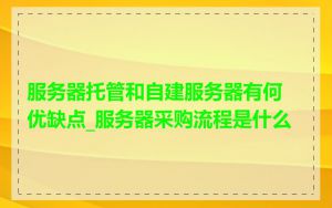 服务器托管和自建服务器有何优缺点_服务器采购流程是什么