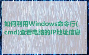 如何利用Windows命令行(cmd)查看电脑的IP地址信息