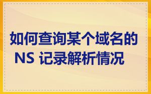 如何查询某个域名的 NS 记录解析情况