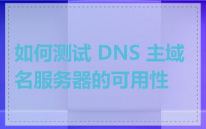 如何测试 DNS 主域名服务器的可用性