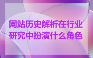 网站历史解析在行业研究中扮演什么角色