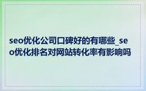 seo优化公司口碑好的有哪些_seo优化排名对网站转化率有影响吗