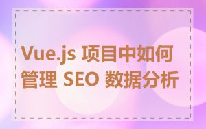 Vue.js 项目中如何管理 SEO 数据分析