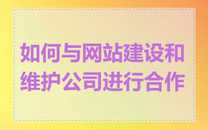 如何与网站建设和维护公司进行合作