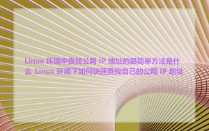 Linux 环境中查找公网 IP 地址的最简单方法是什么_Linux 环境下如何快速查找自己的公网 IP 地址