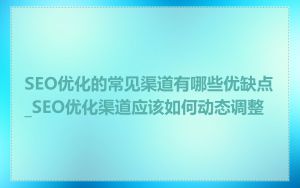 SEO优化的常见渠道有哪些优缺点_SEO优化渠道应该如何动态调整