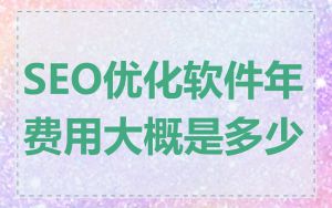 SEO优化软件年费用大概是多少