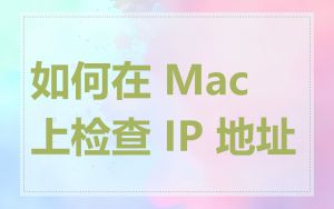 如何在 Mac 上检查 IP 地址