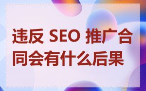 违反 SEO 推广合同会有什么后果