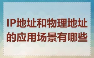 IP地址和物理地址的应用场景有哪些