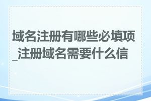 域名注册有哪些必填项_注册域名需要什么信息