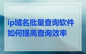 ip域名批量查询软件如何提高查询效率