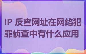 IP 反查网址在网络犯罪侦查中有什么应用