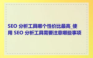 SEO 分析工具哪个性价比最高_使用 SEO 分析工具需要注意哪些事项