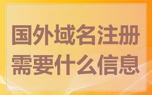 国外域名注册需要什么信息