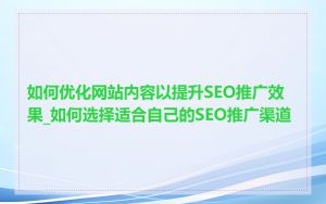 如何优化网站内容以提升SEO推广效果_如何选择适合自己的SEO推广渠道