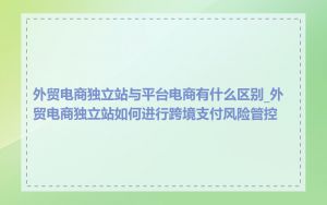 外贸电商独立站与平台电商有什么区别_外贸电商独立站如何进行跨境支付风险管控