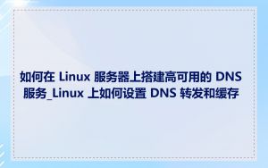 如何在 Linux 服务器上搭建高可用的 DNS 服务_Linux 上如何设置 DNS 转发和缓存