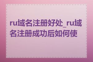 ru域名注册好处_ru域名注册成功后如何使用