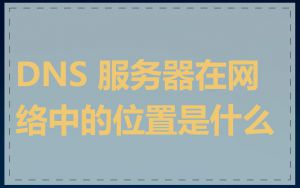 DNS 服务器在网络中的位置是什么