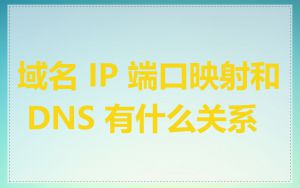 域名 IP 端口映射和 DNS 有什么关系