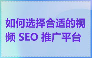 如何选择合适的视频 SEO 推广平台