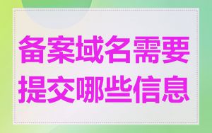 备案域名需要提交哪些信息