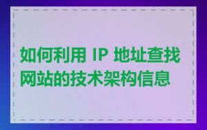 如何利用 IP 地址查找网站的技术架构信息