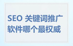 SEO 关键词推广软件哪个最权威