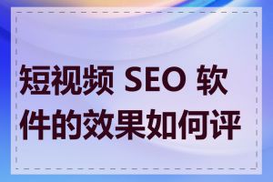 短视频 SEO 软件的效果如何评估